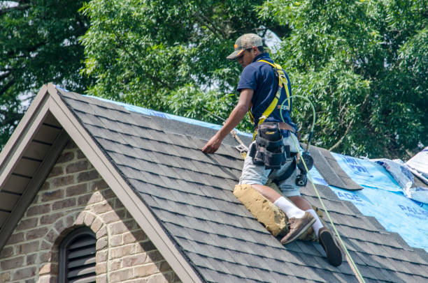 Trusted Littleton, CO Roofing Contractor Experts